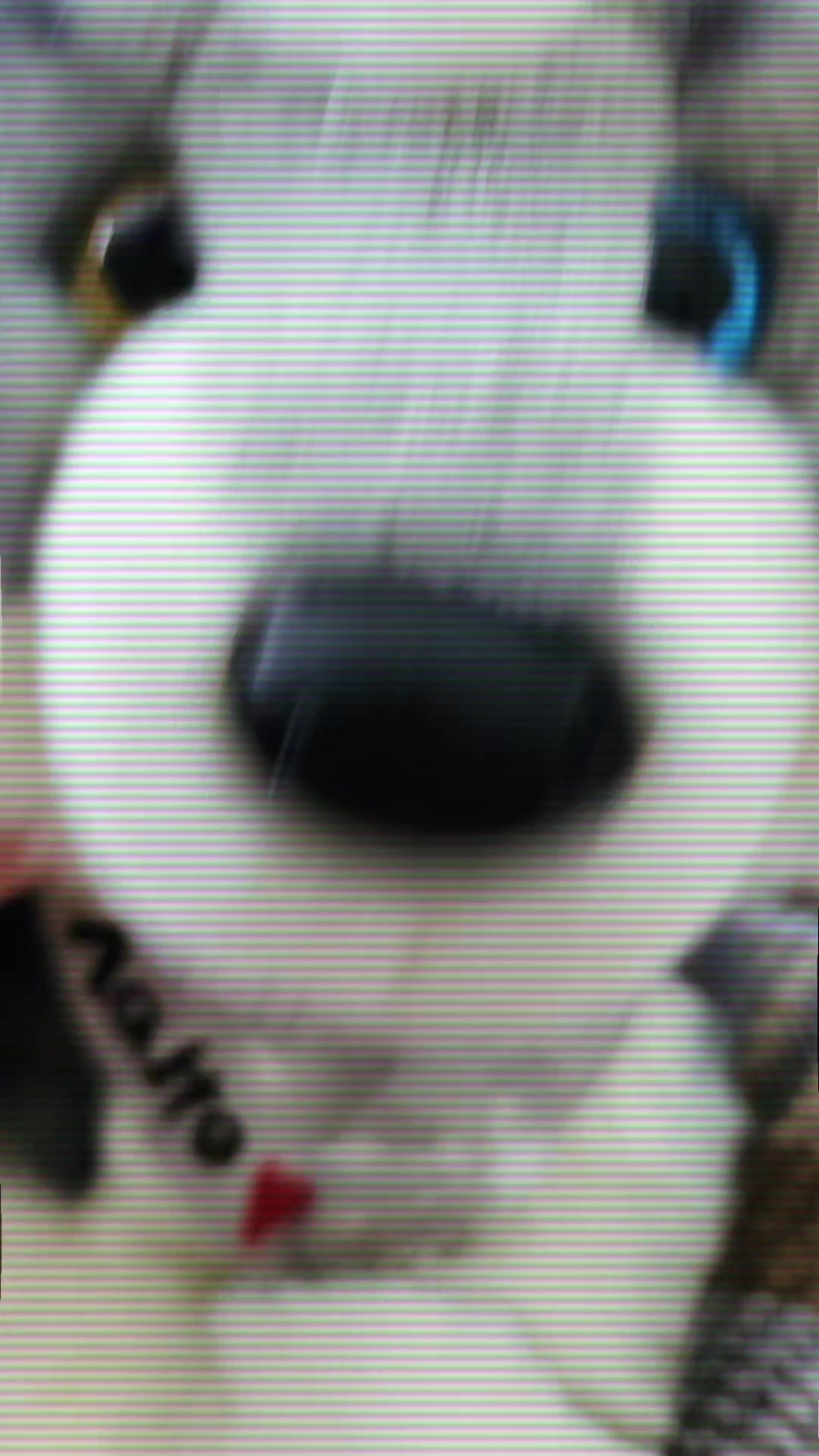 @๐ป Autistix Shiba ๐ณ๏ธ๐