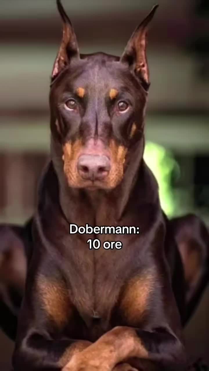 @Angela