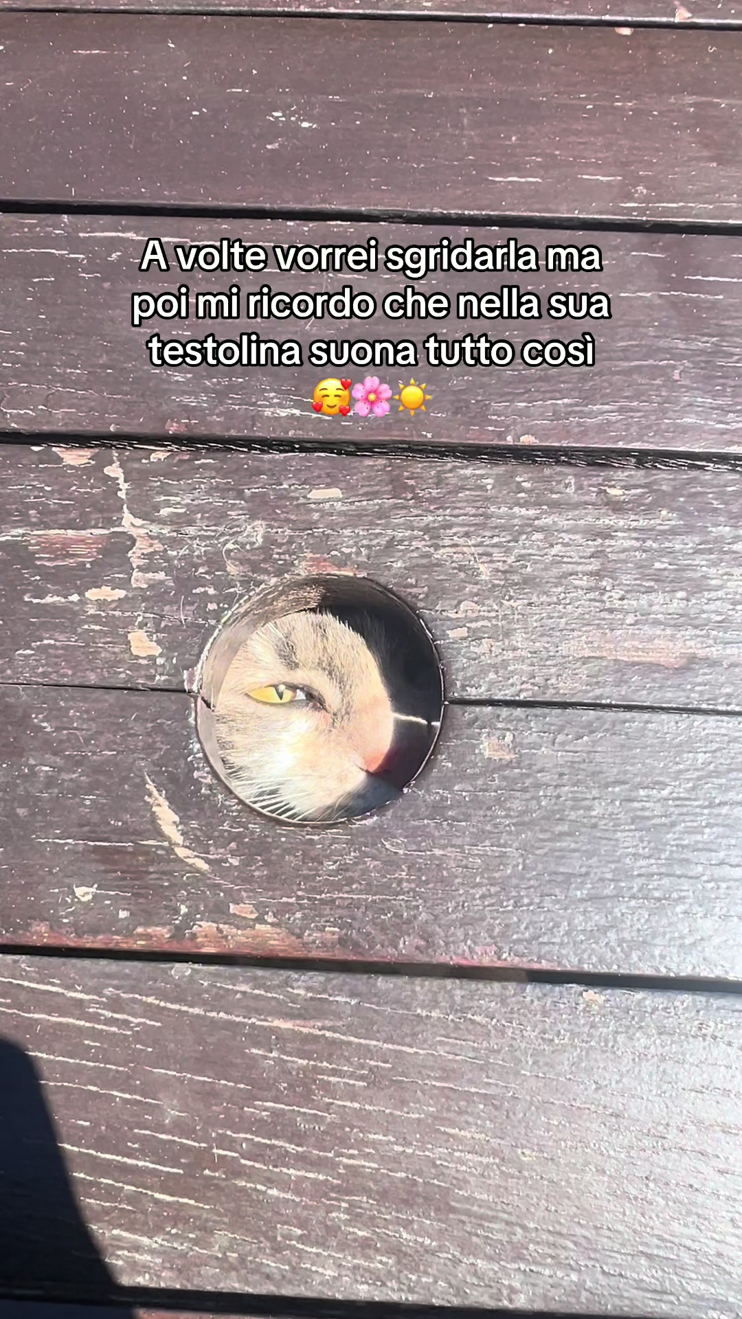 @valentina roveda ♥️