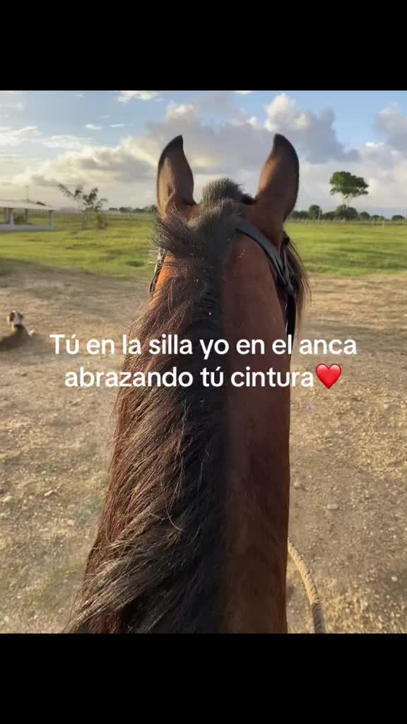 @Juan Anzola 🤠