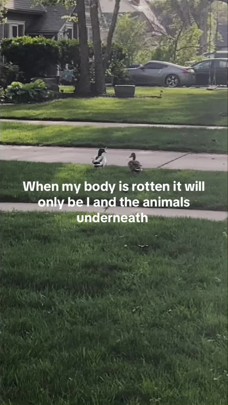 @𝘢𝘭𝘪𝘯𝘢 ☥