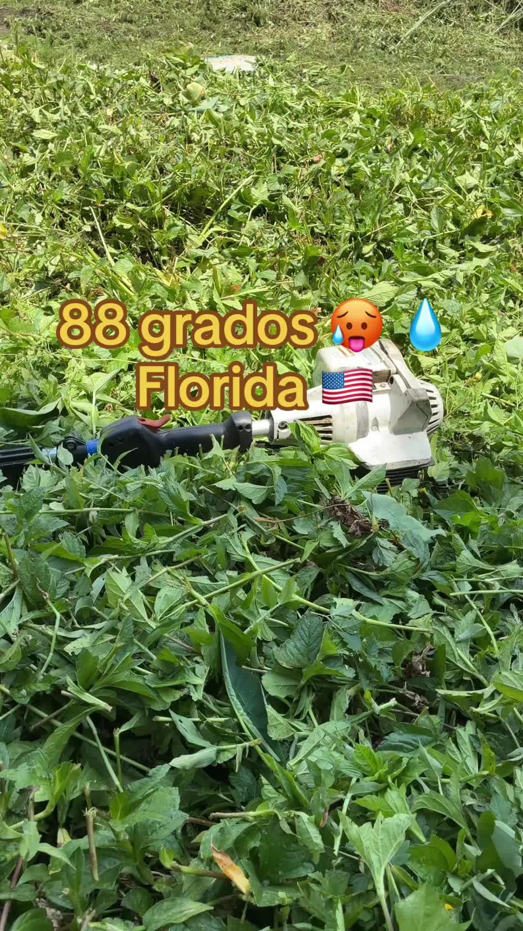@<%☘️🌳NATANAEL 🌳🍀 📸 %>