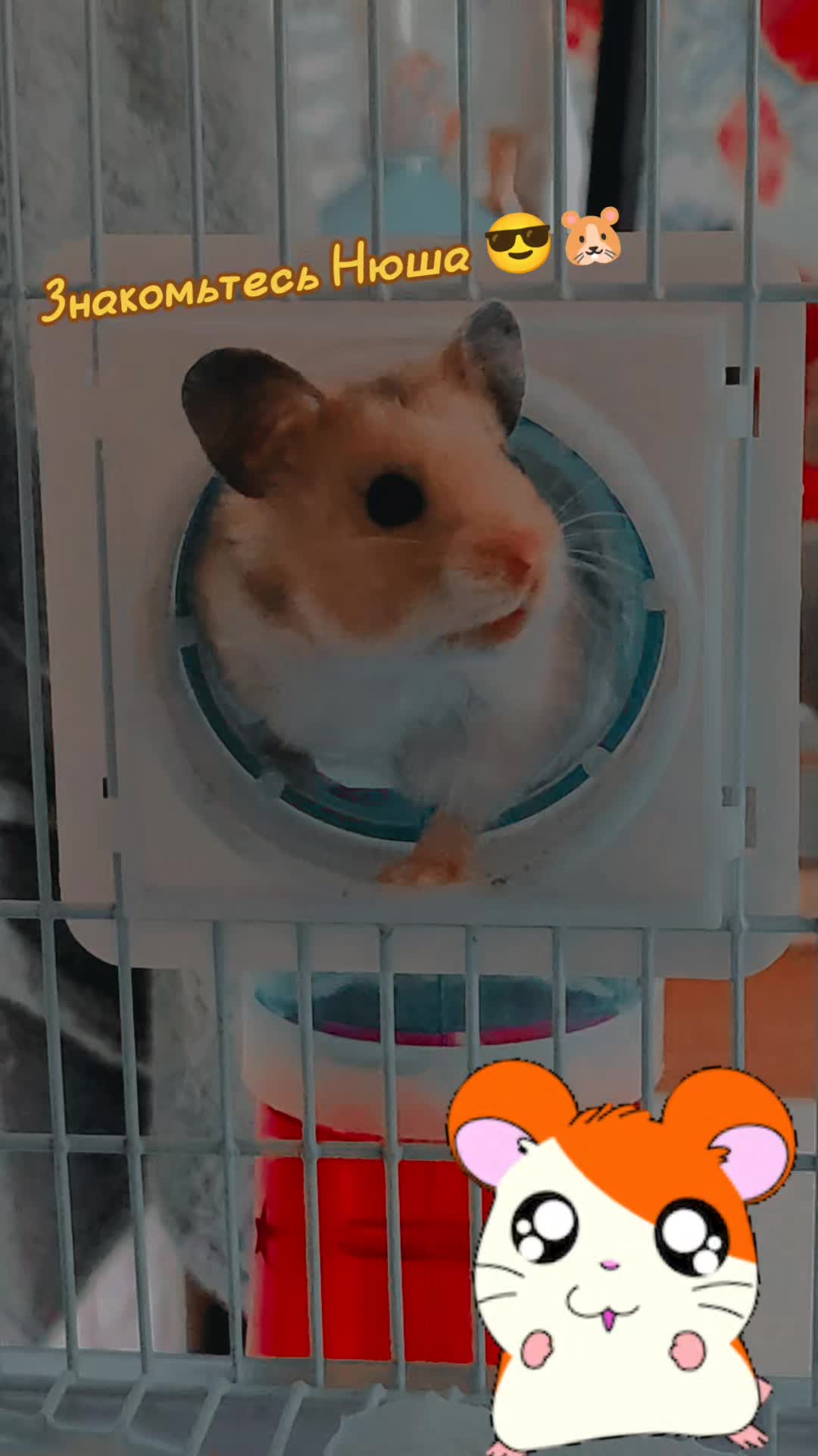 @ⓢⓤⓝⓢⓗⓘⓝⓔ