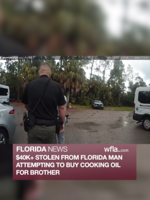 @WFLA News Channel 8