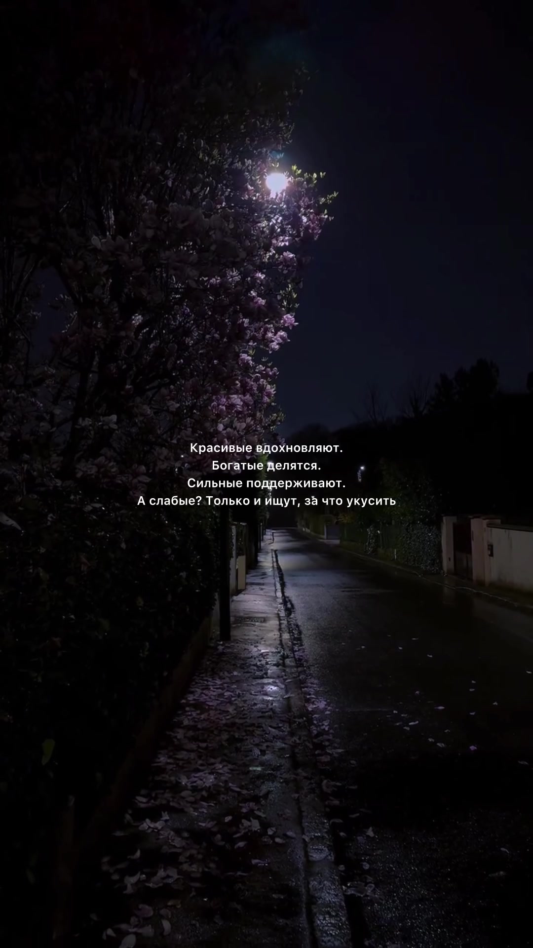 @sad_you_songs1