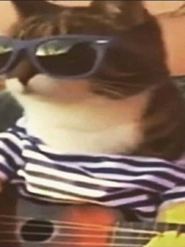 @m3rl