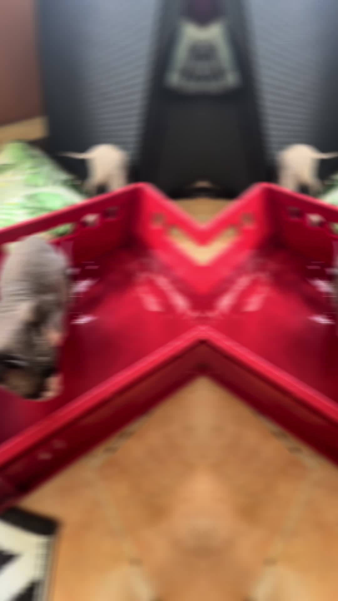 @๐ฑ๐๐๐๐๐