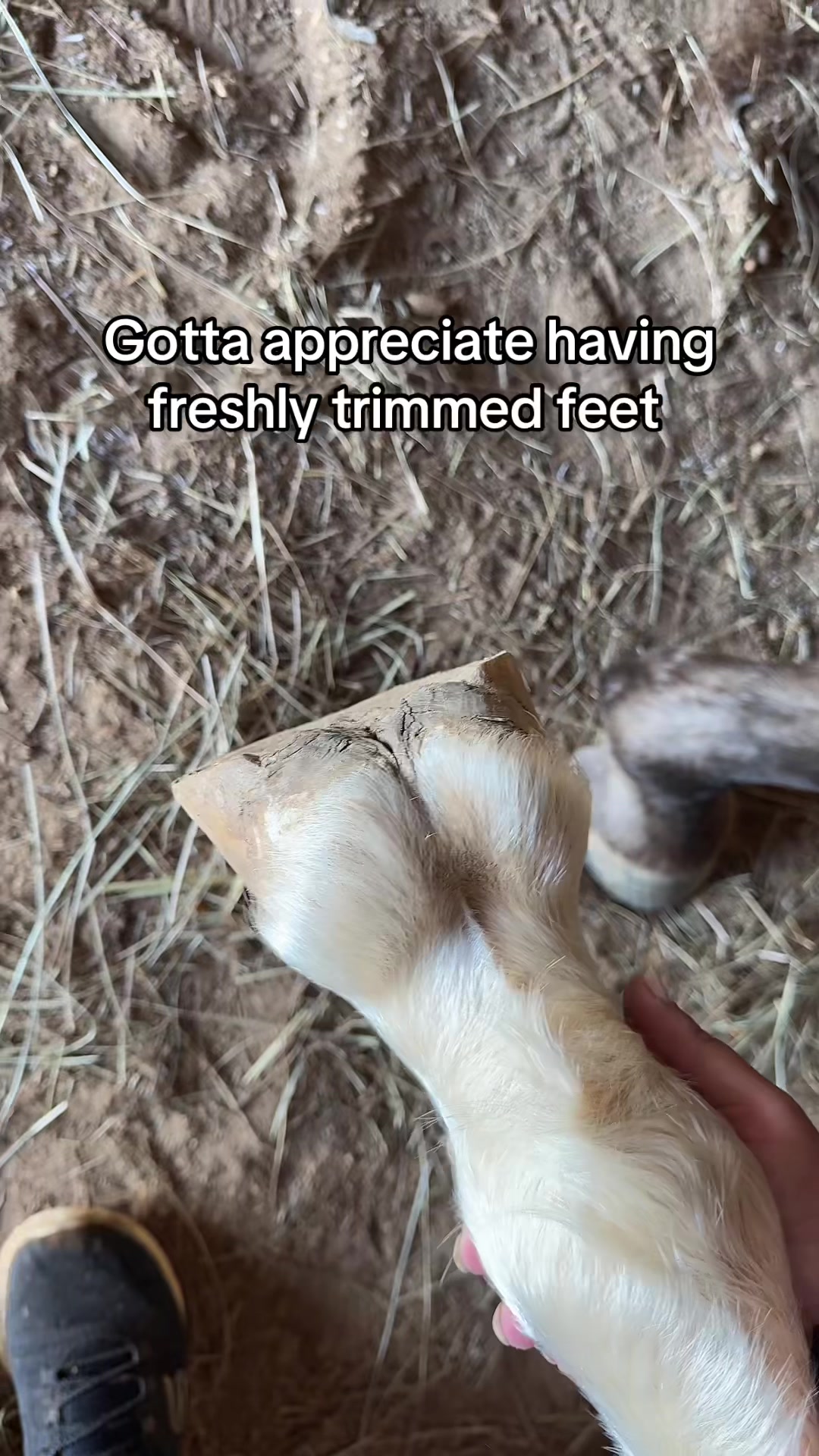 @Paige