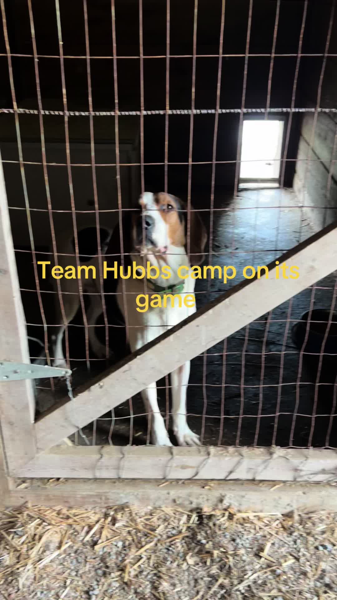 @DAN