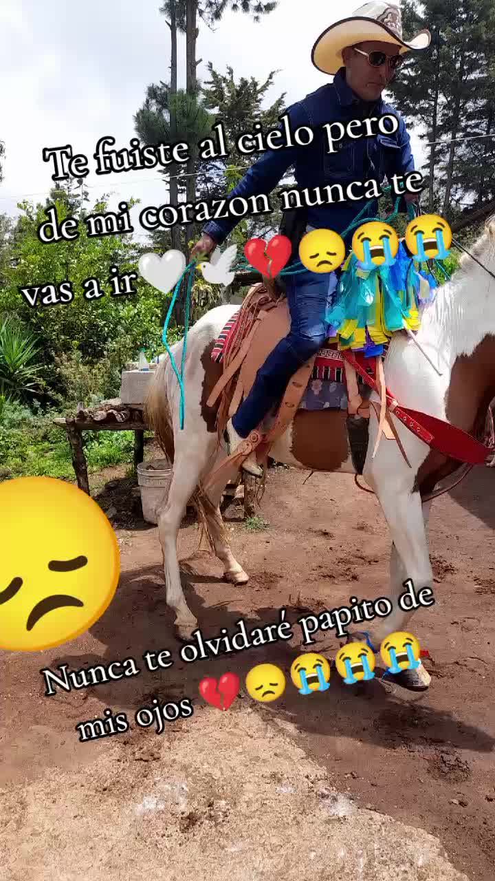 @Paola Ramírez