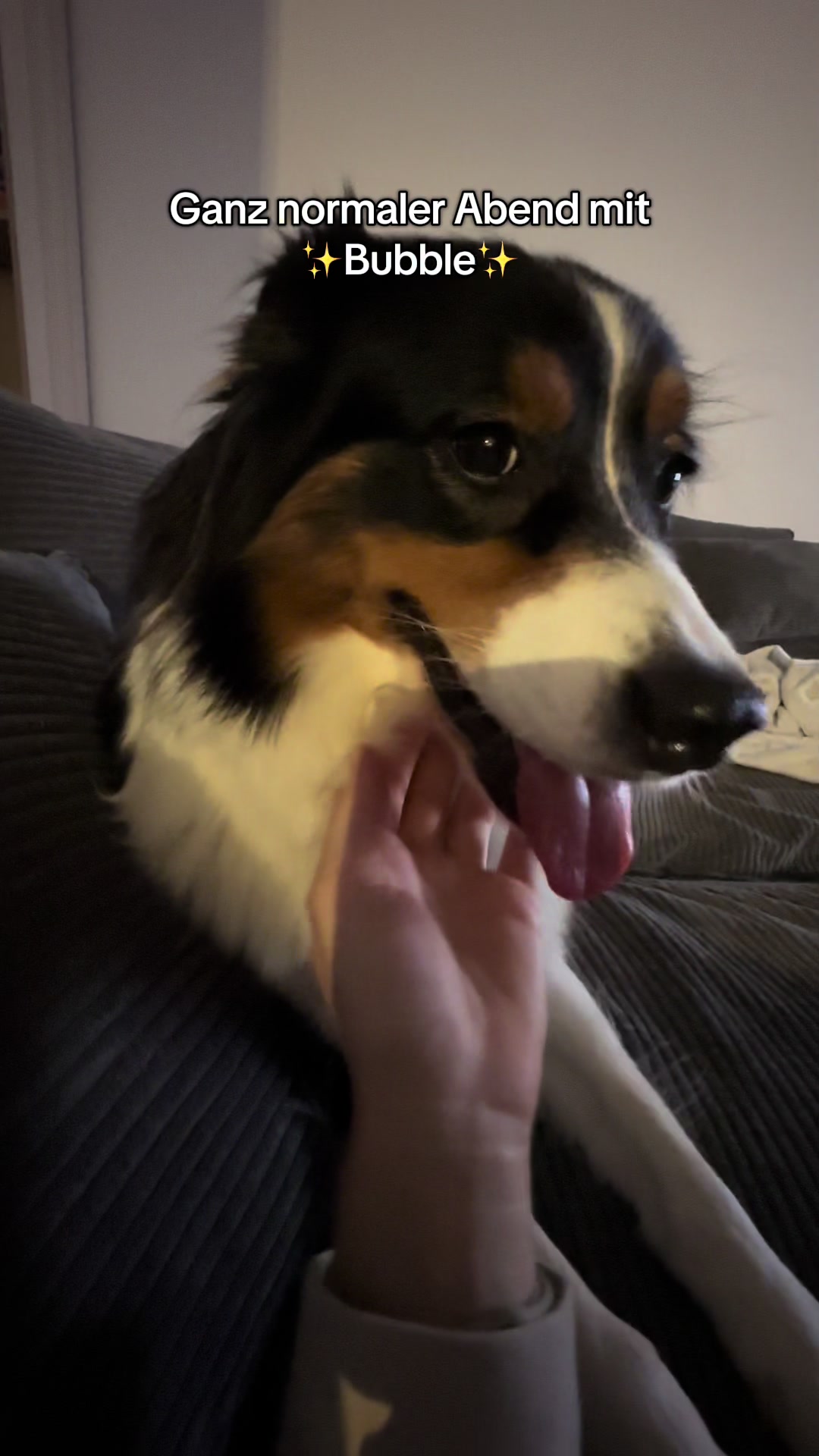 @Nina und Bubble 🐾