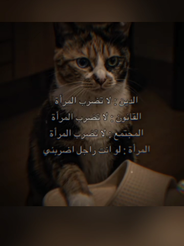 @ميمز .دوت كوم 😂😋