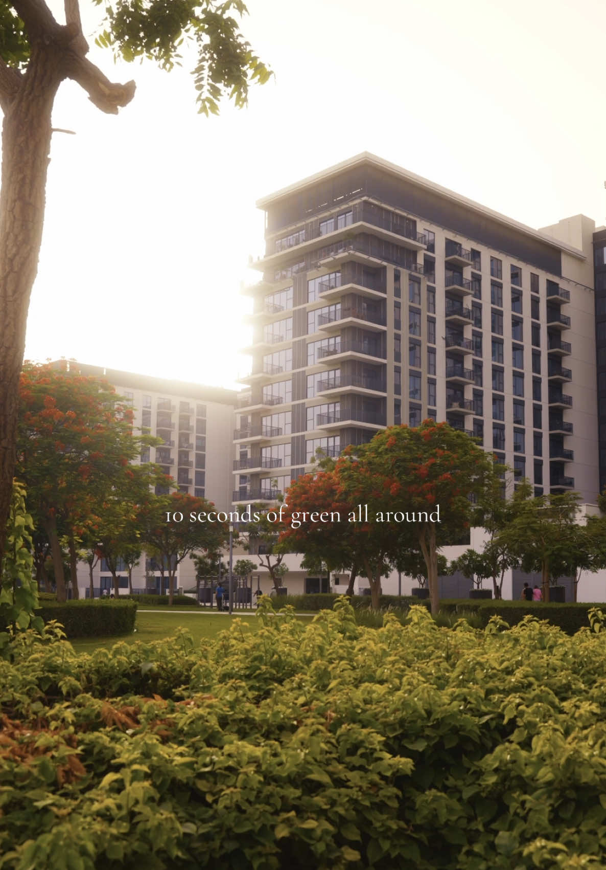 @Emaar Dubai