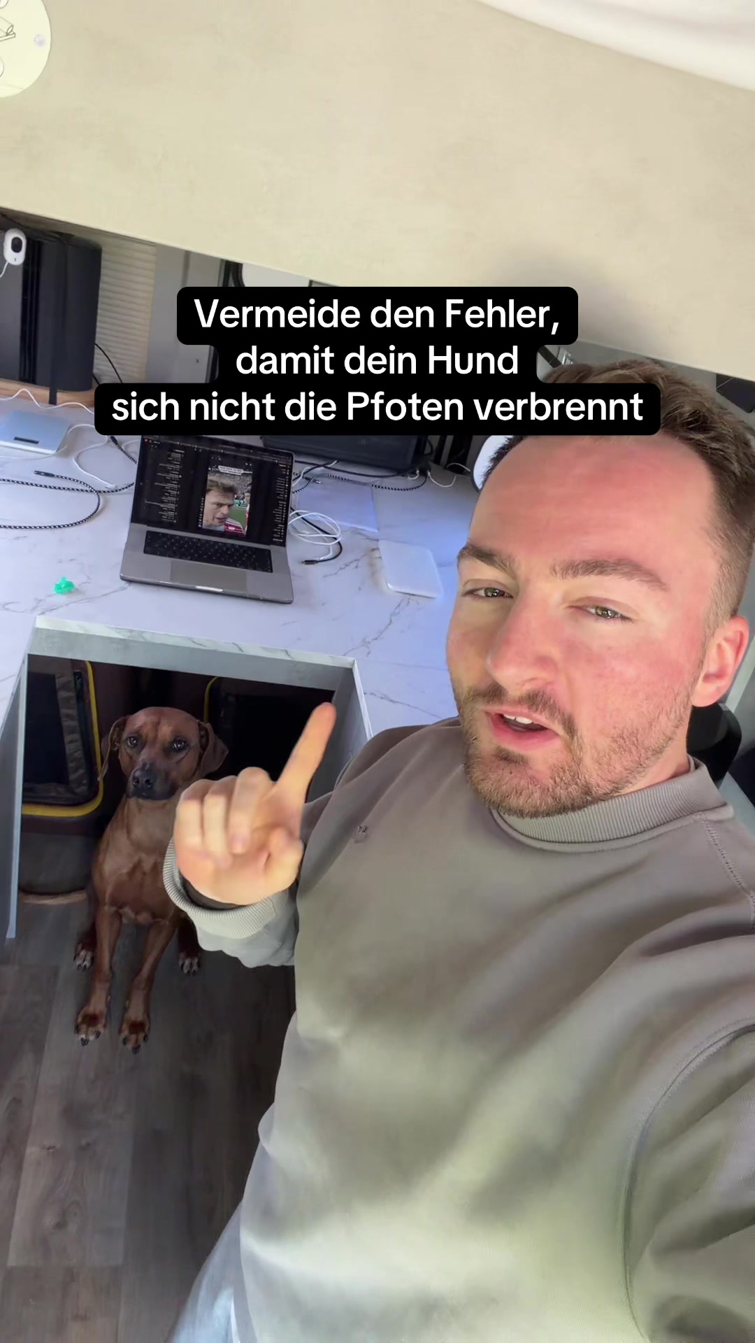 @Ridgeback Diaries