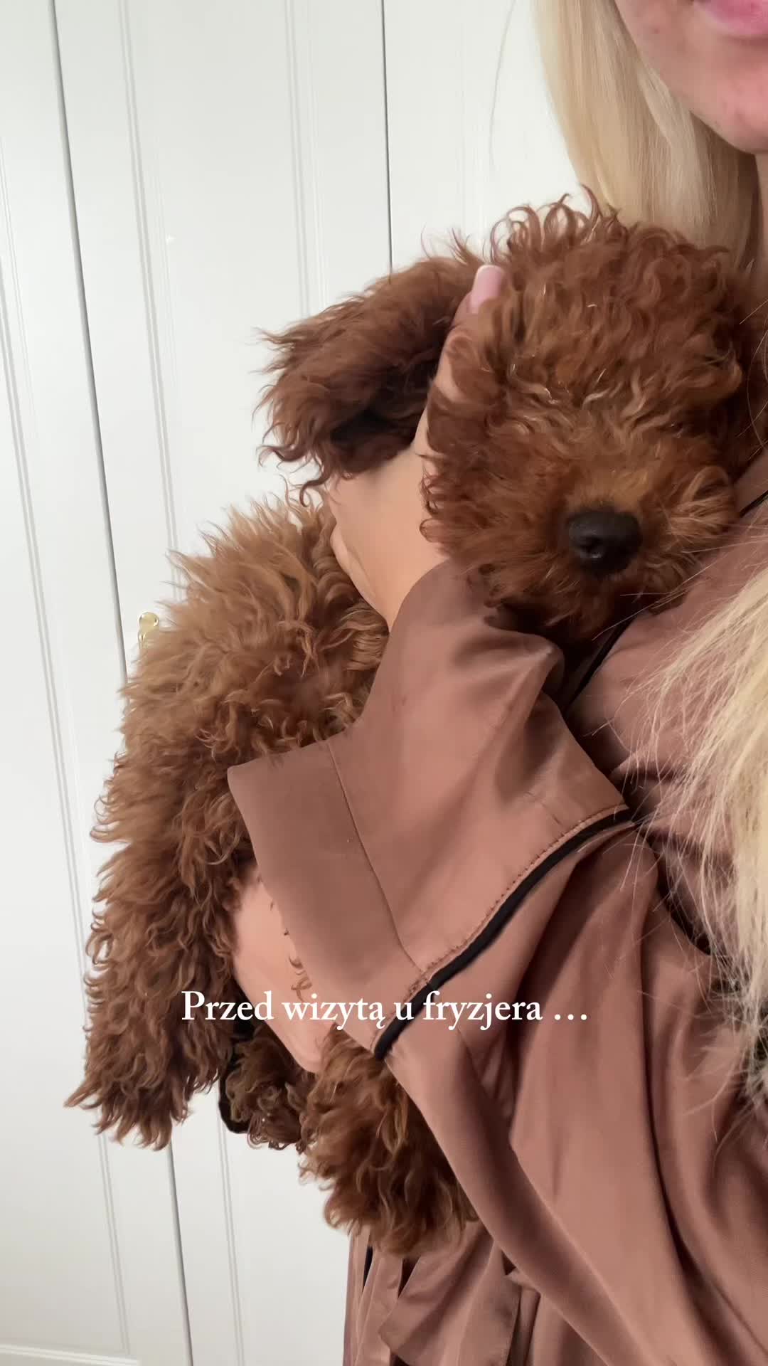 @Babyroosee
