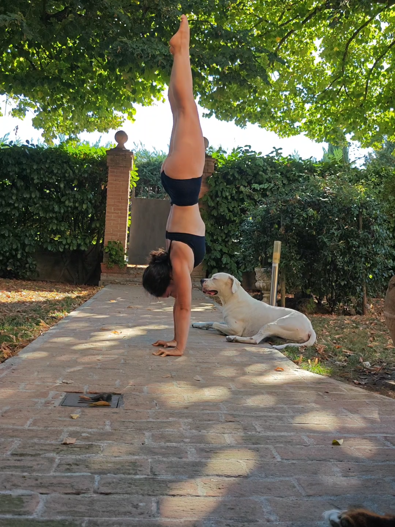 @acrobatic___