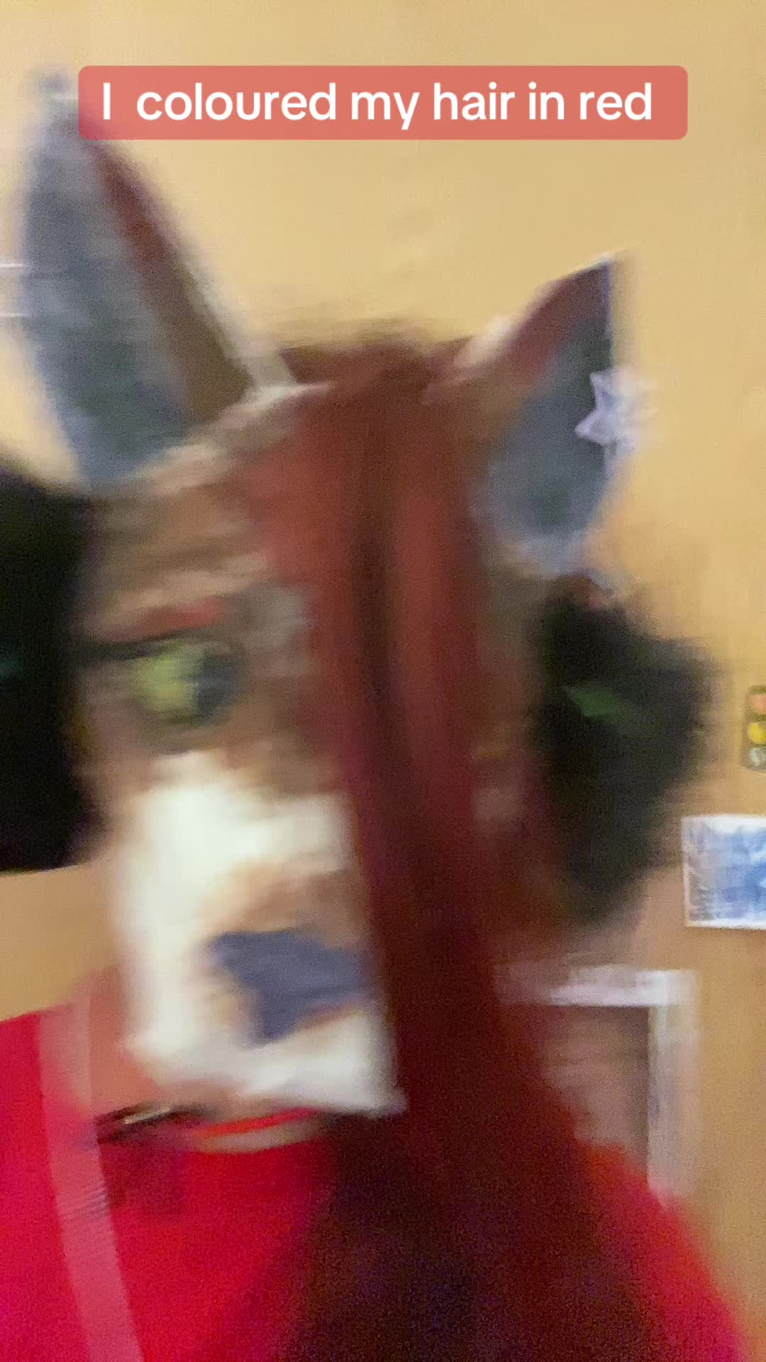 @wolf_p4ws