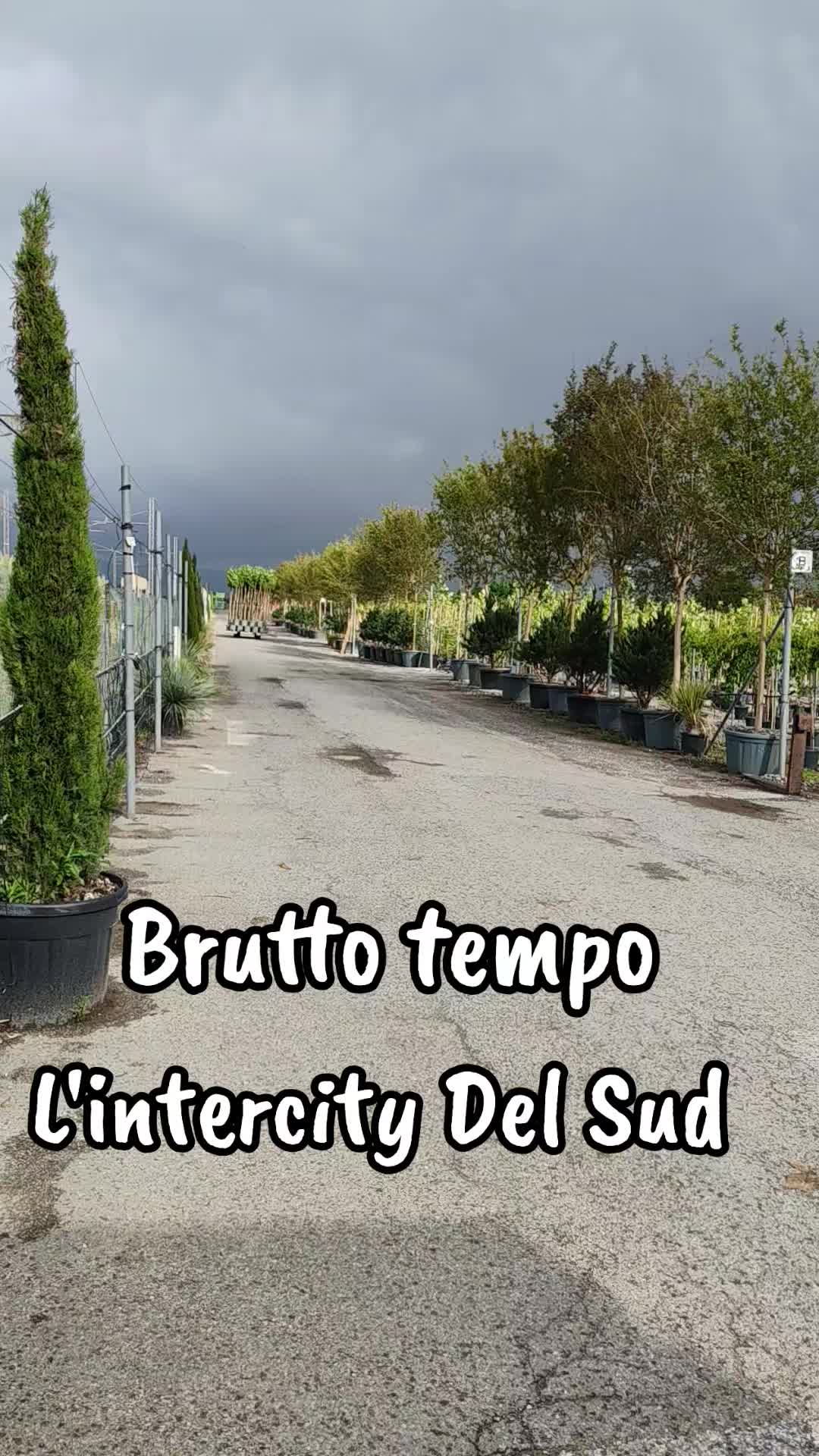 @L'intercity del Sud