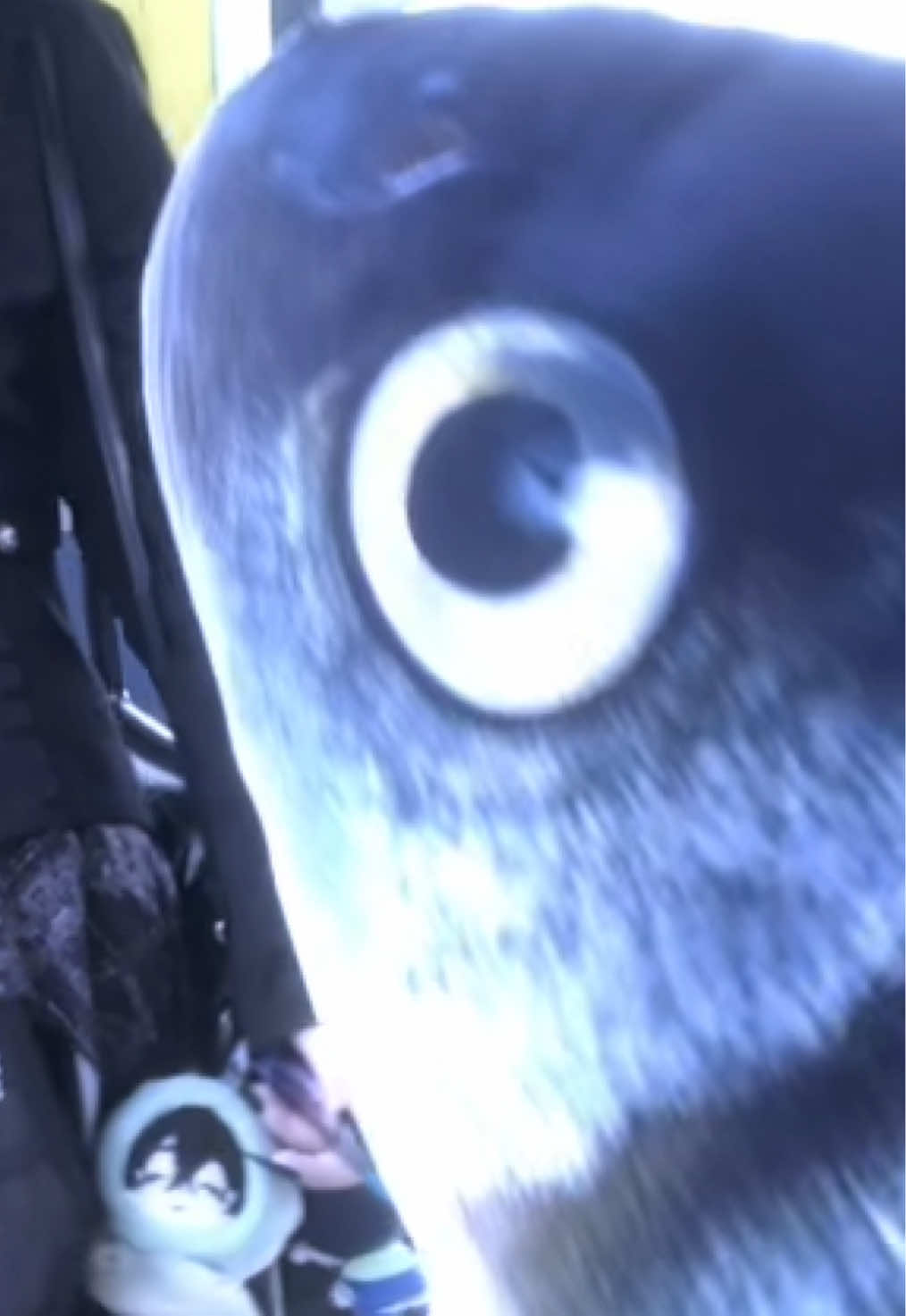 @𝓥系🖤𝓛𝓾𝔁⛑️🔪