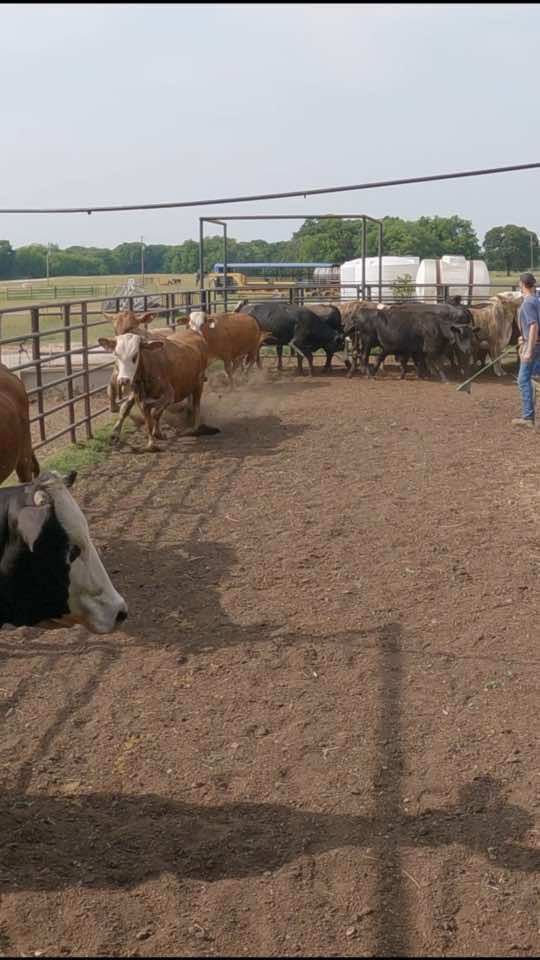@The Farm Guy