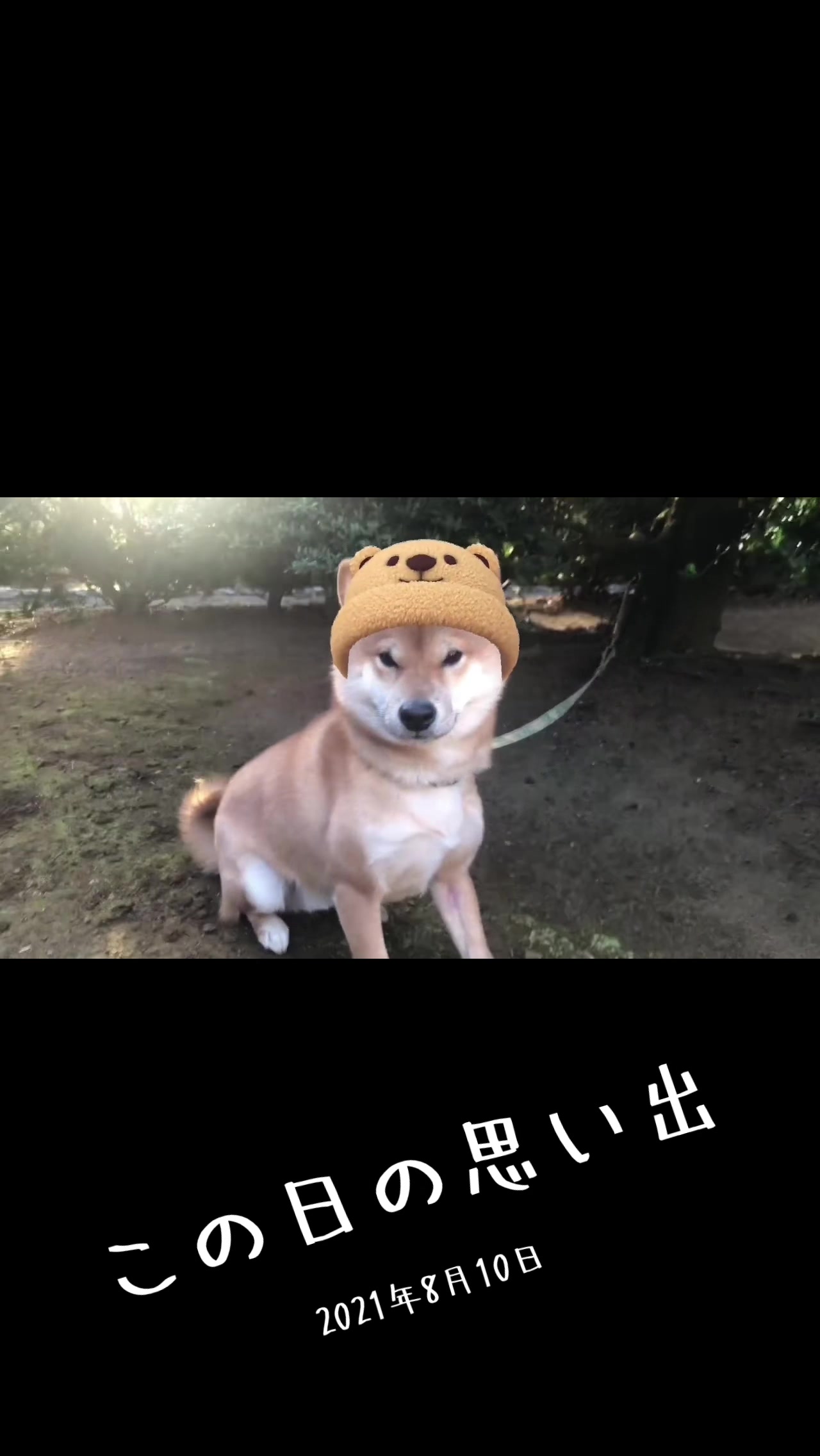 @anna