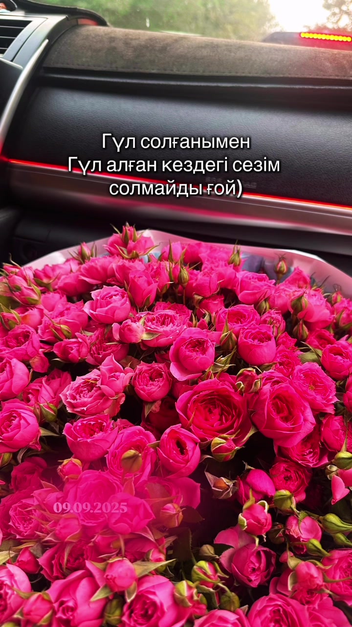 @Askarovna Balnur
