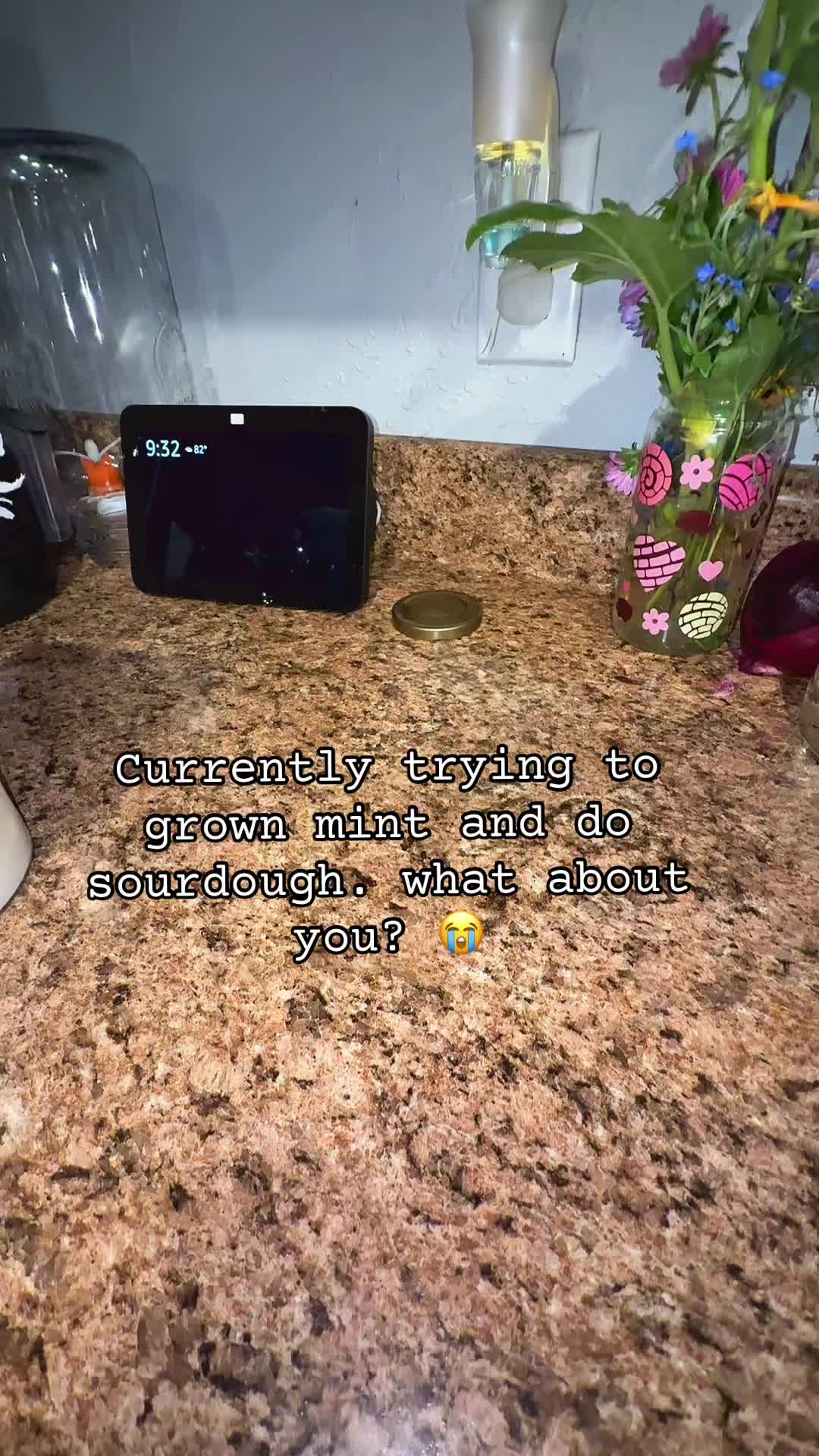 @lifewithspongy