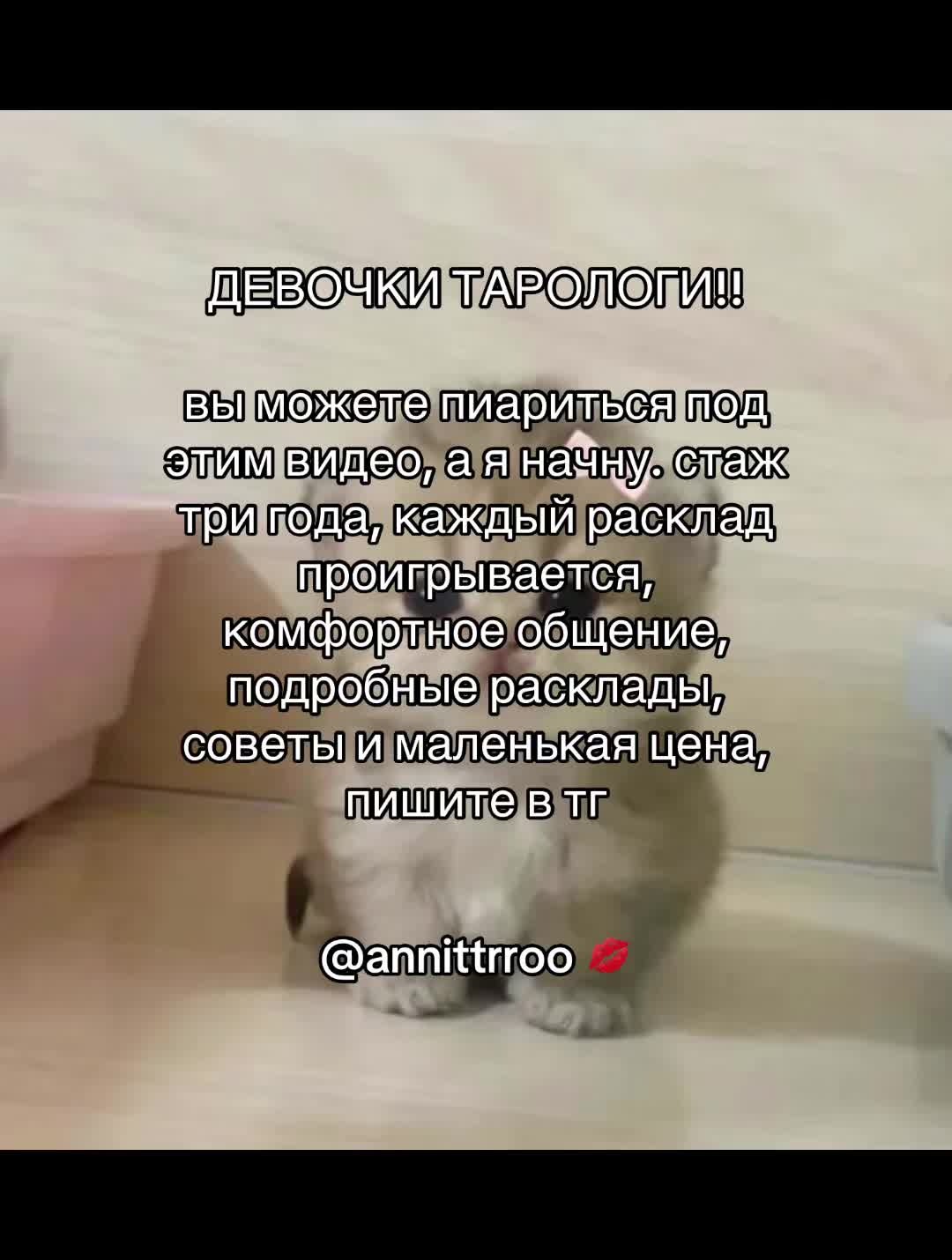 @Анна Таролог🤍
