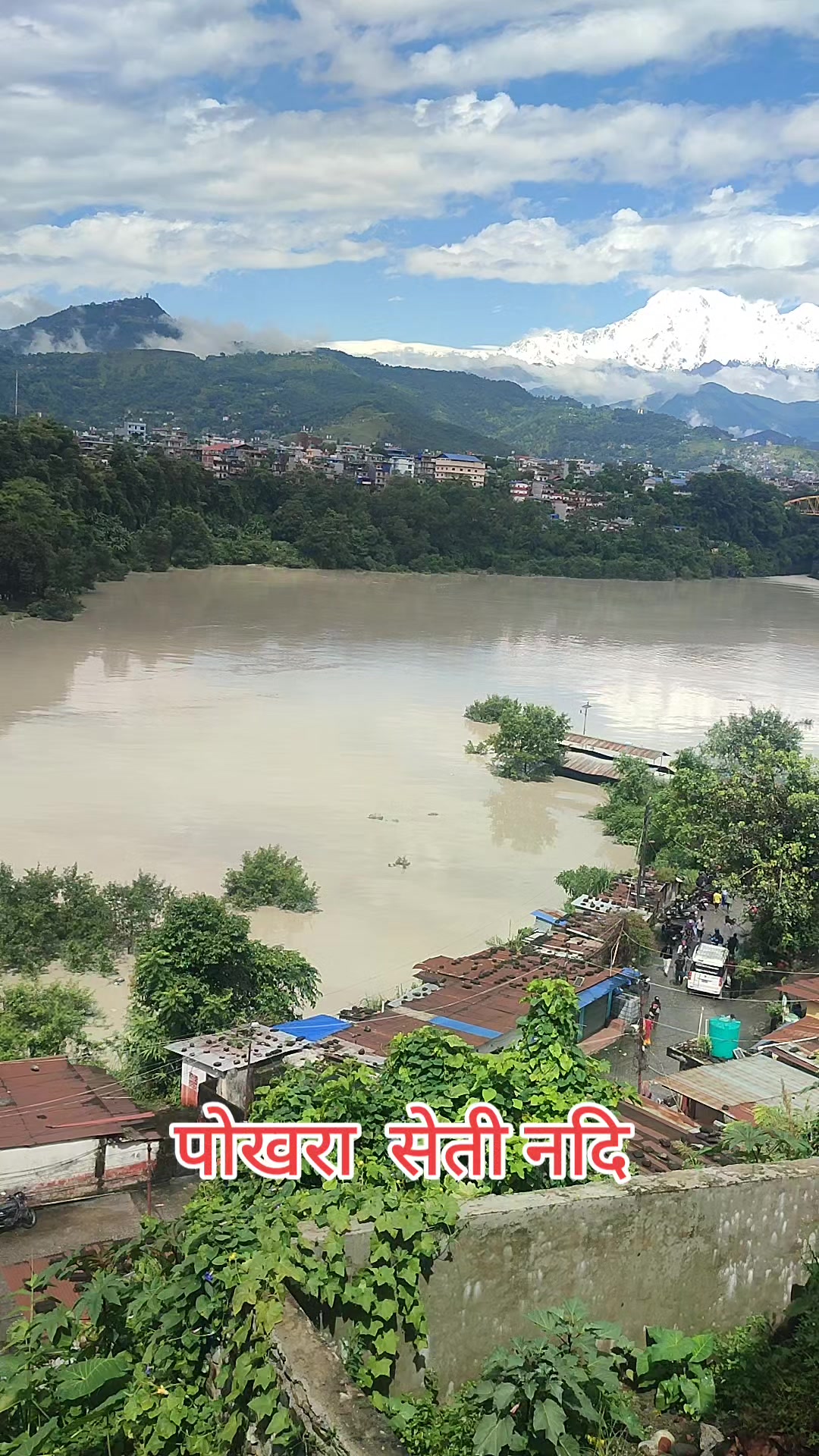 @shantisubedi905