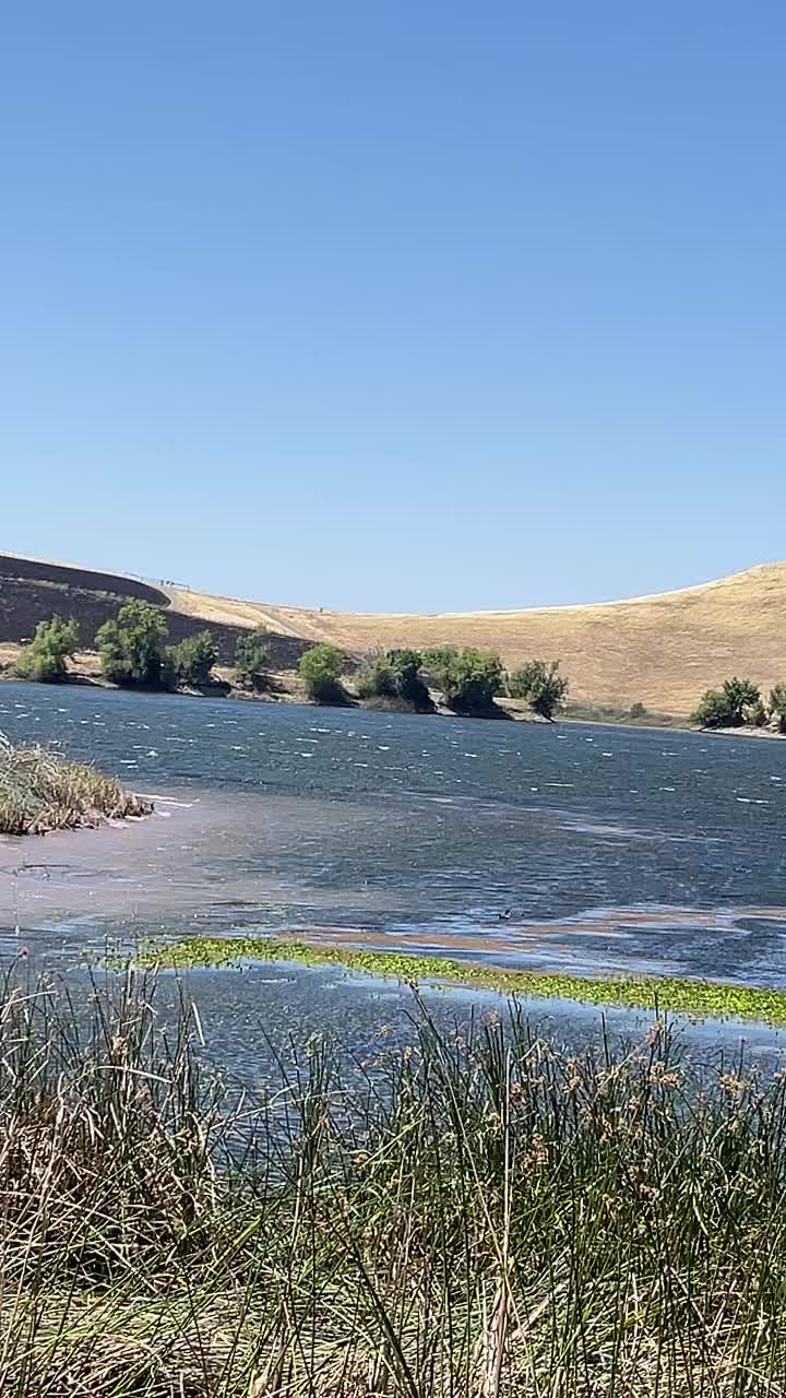@Lleg&oacute; el Benja 😎