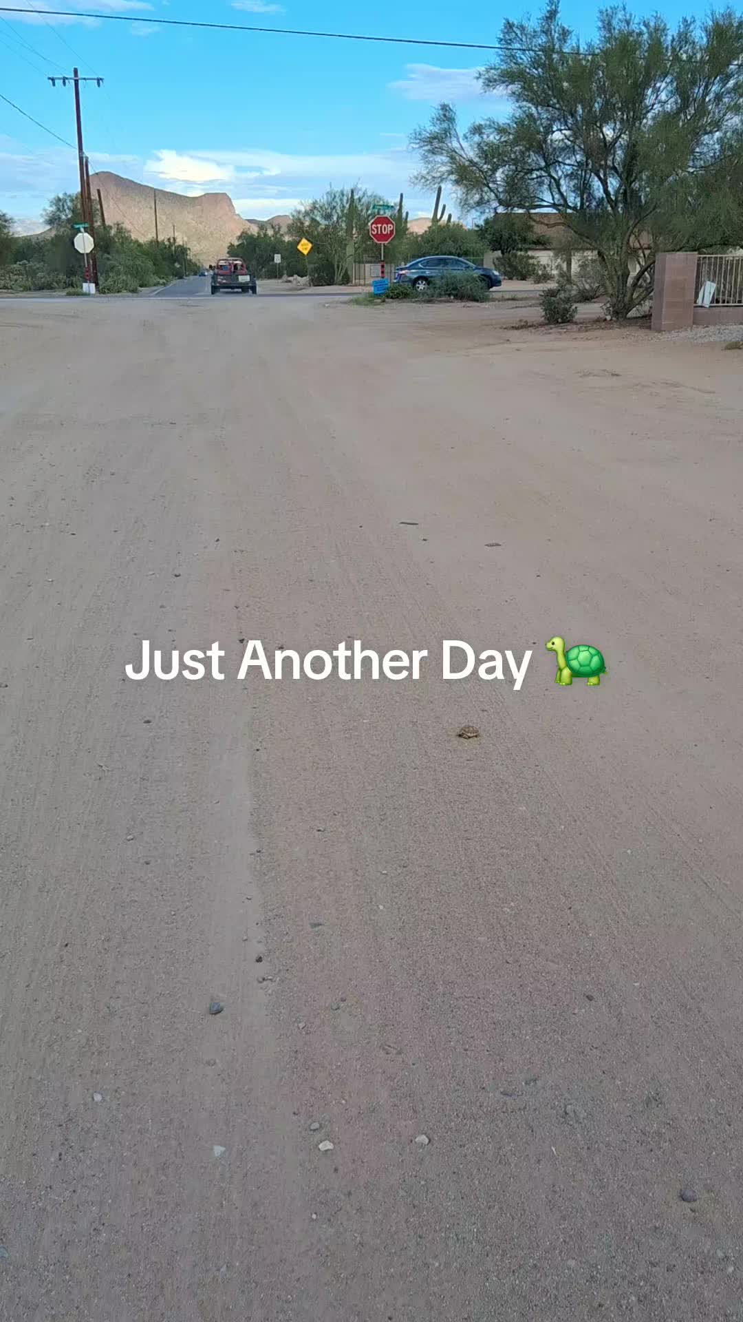 @DesertQueen🌵🐓