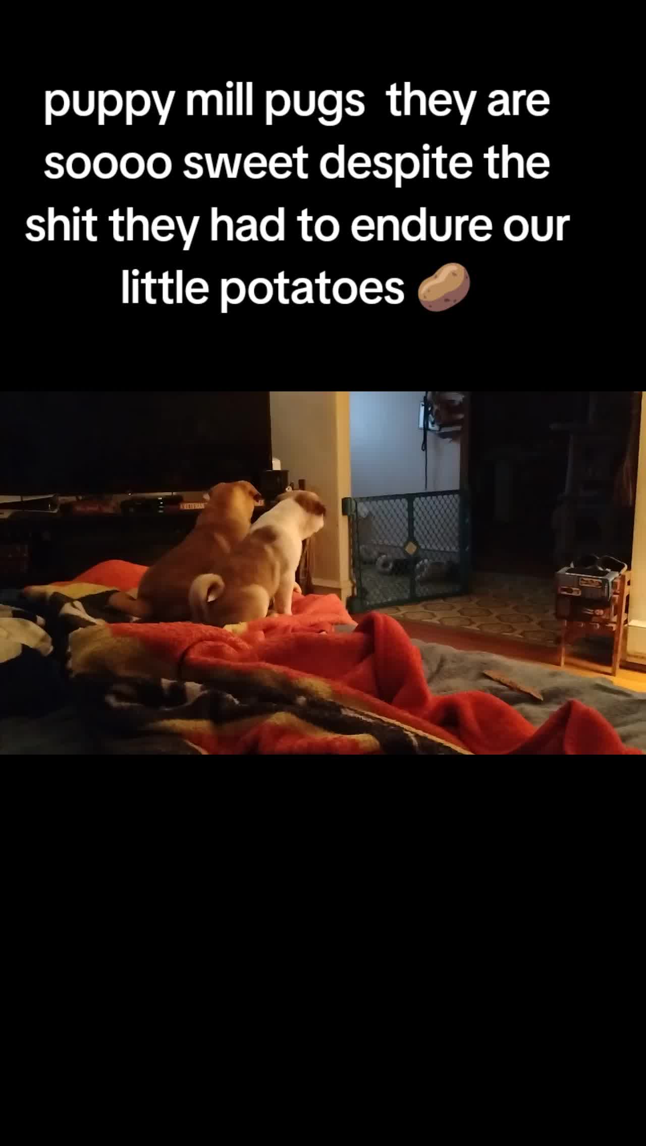 @Debbie1983