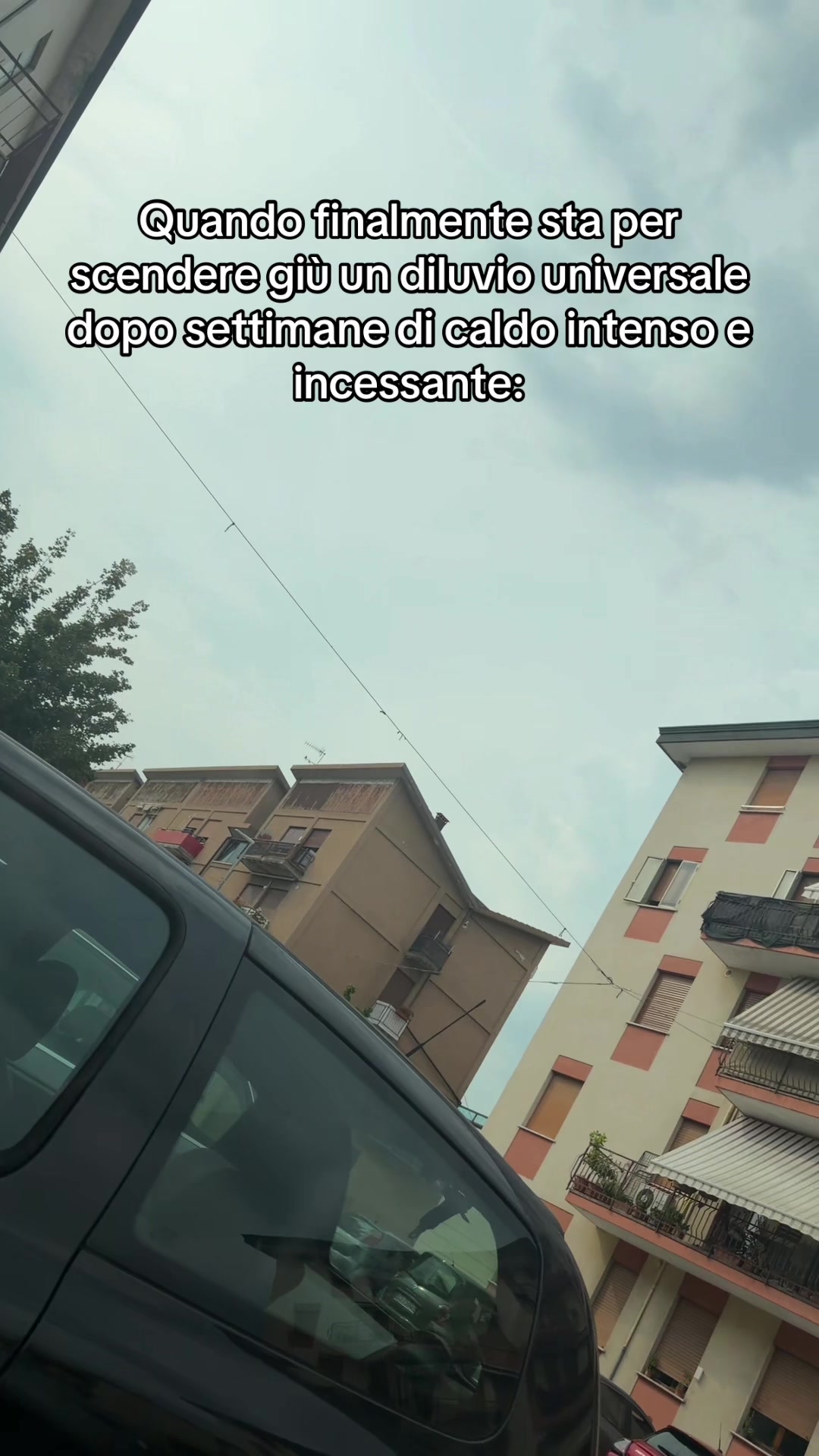 @Signor_Veneto