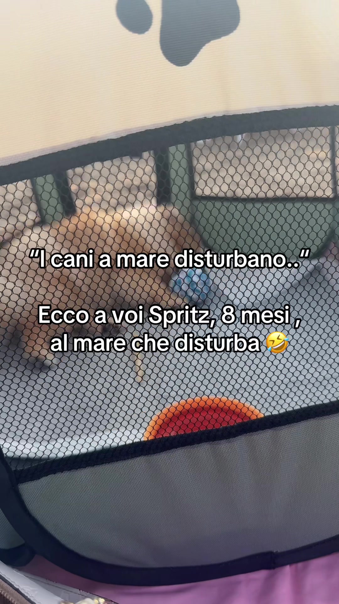 @Sabrina Lo Piccolo