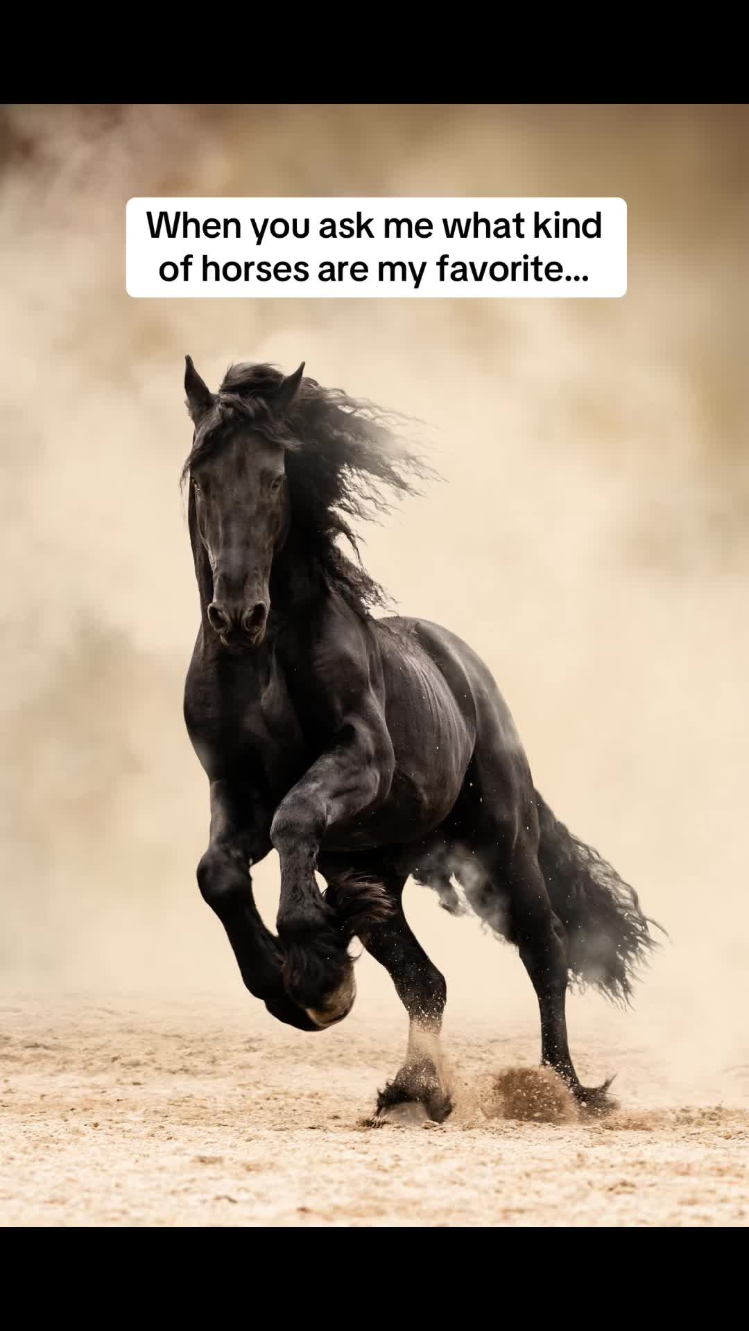 @Tisha 📸🦄 Equestrian Photog