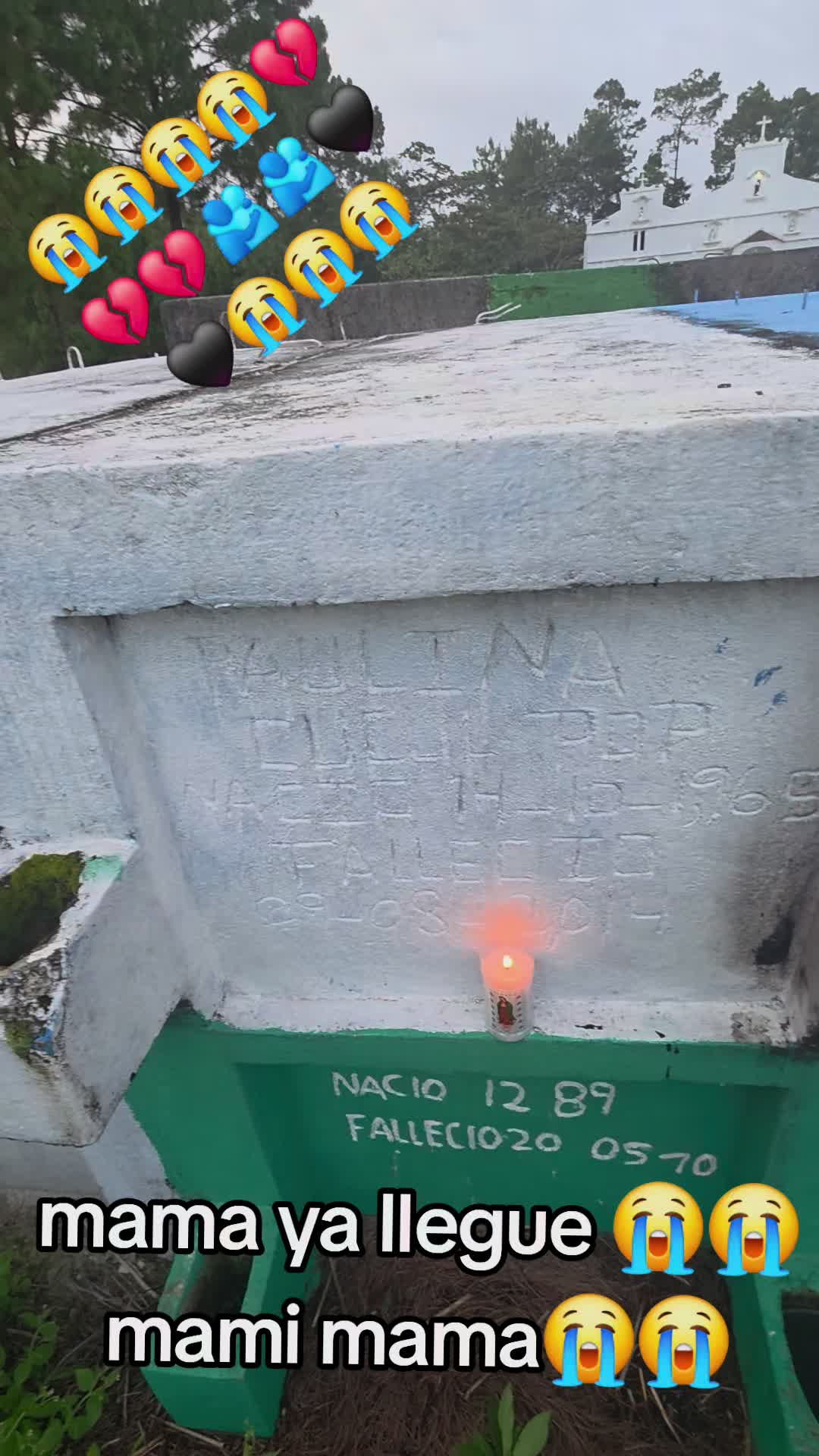 @manueldejesus502