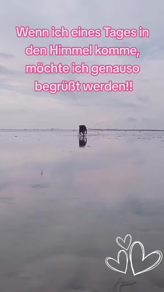 @FrenchieFrieda