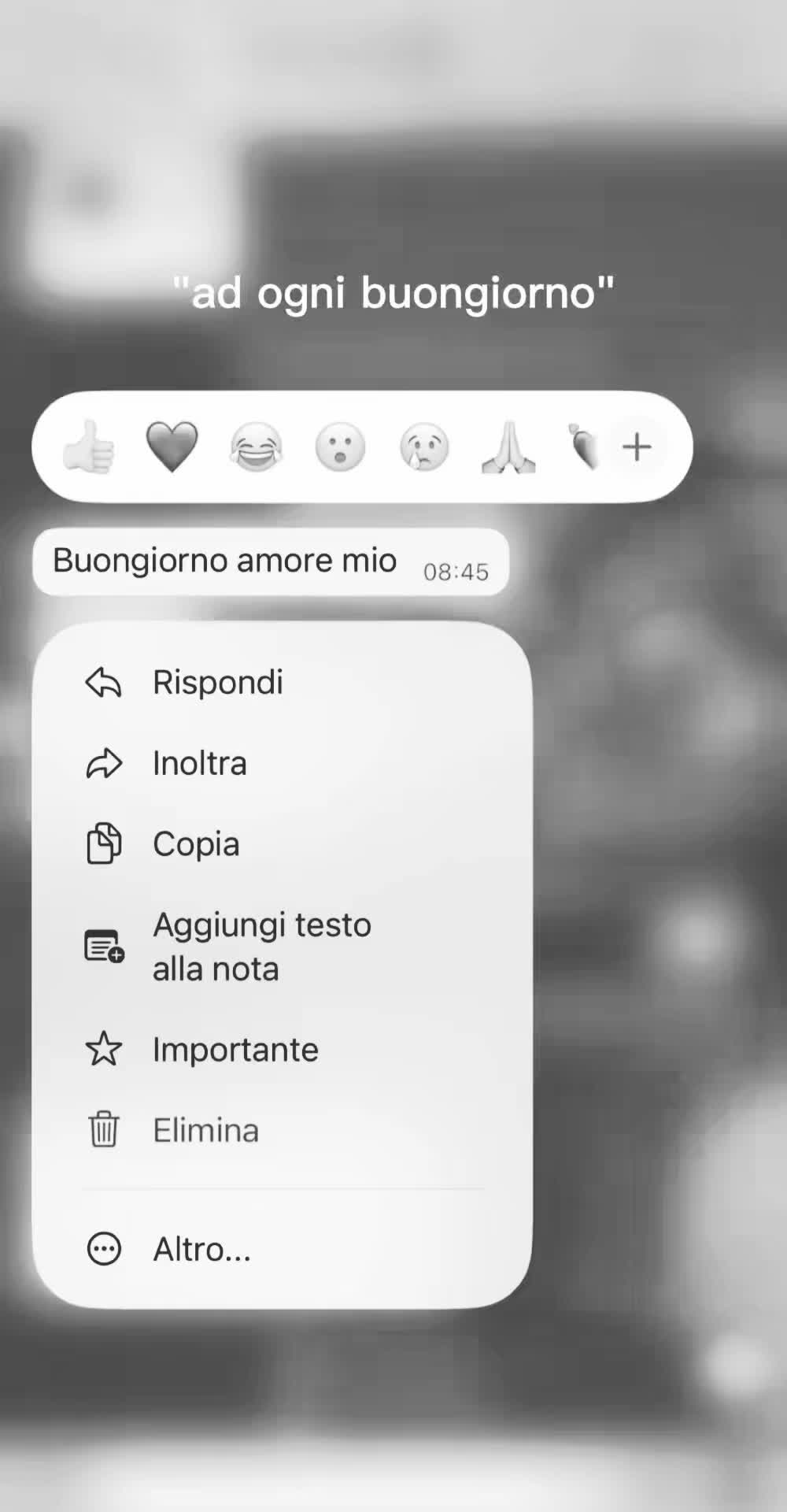@EP1717171717