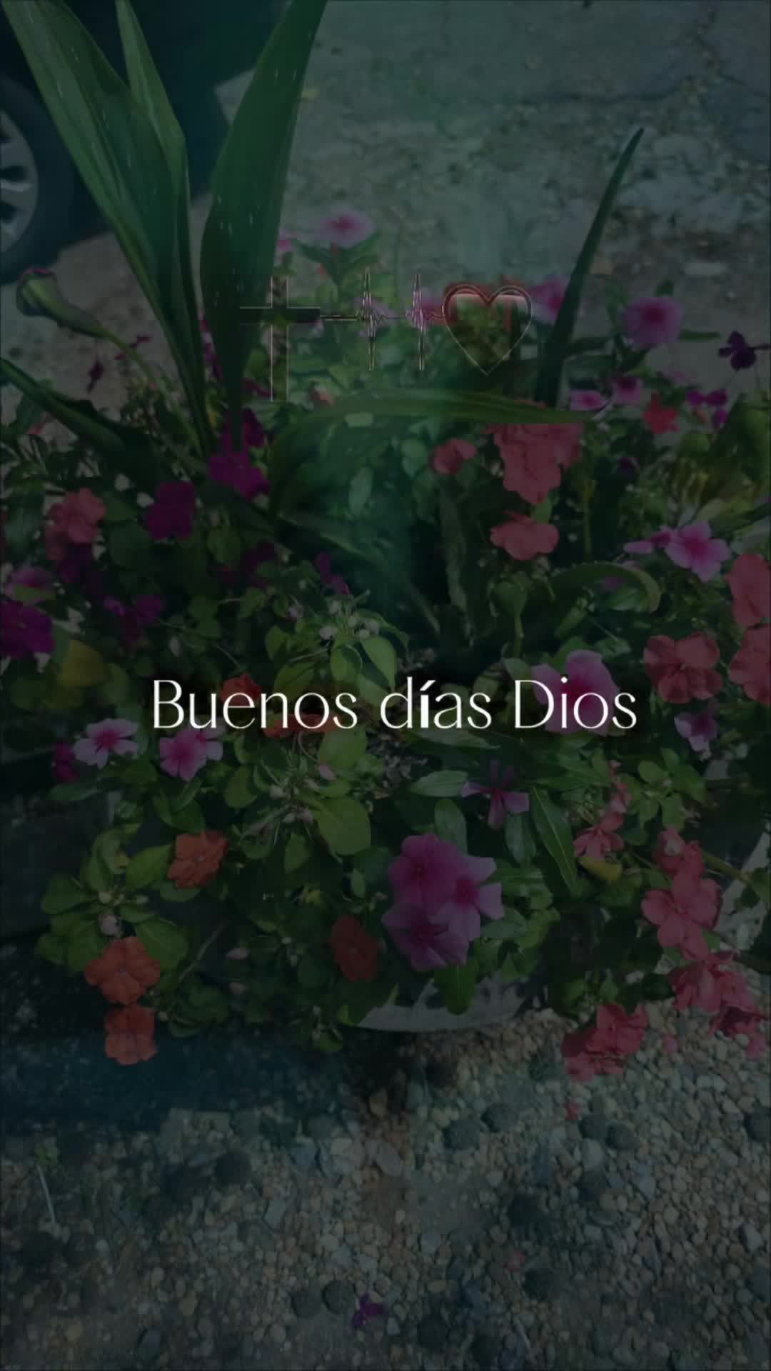 @🦋🦋Suley503🦀🦋