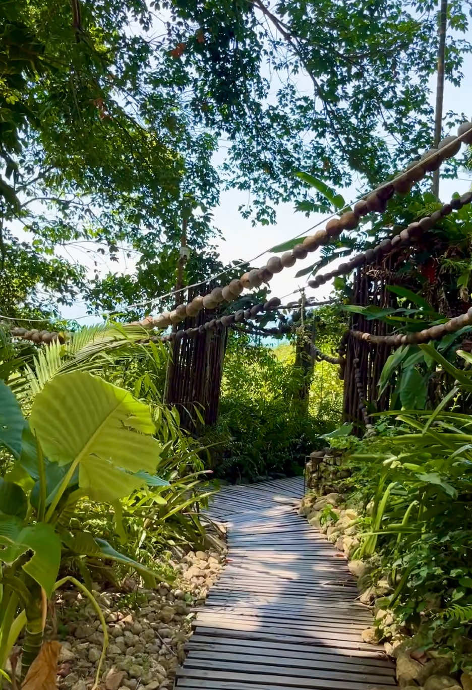 @🏝️ Magical Island Samui 🌴🍹
