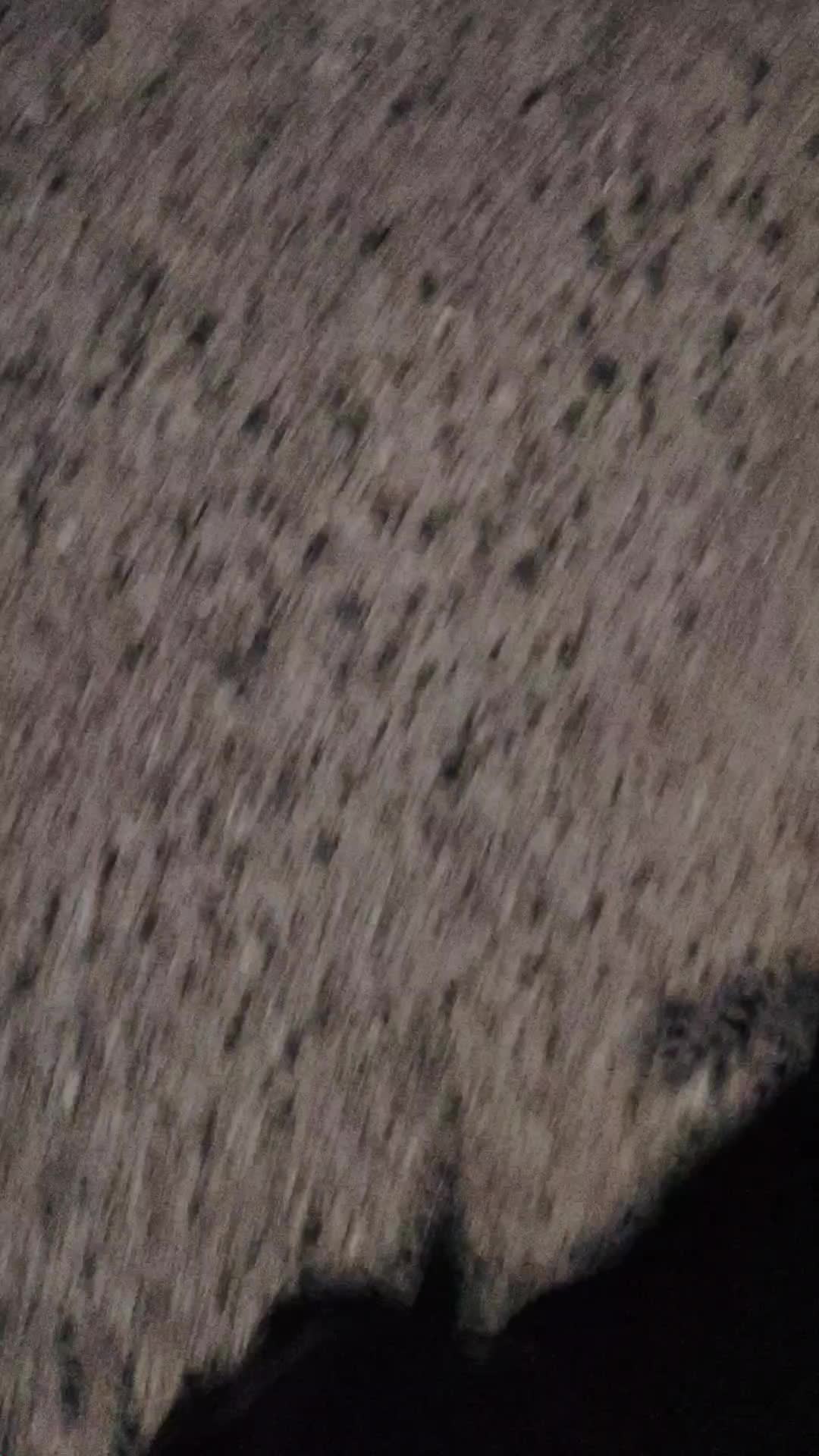 @🐈&zwj;⬛ʚ⊹☣︎𝚍𝚊𝚣𝚣𝚢☣︎ೄྀ