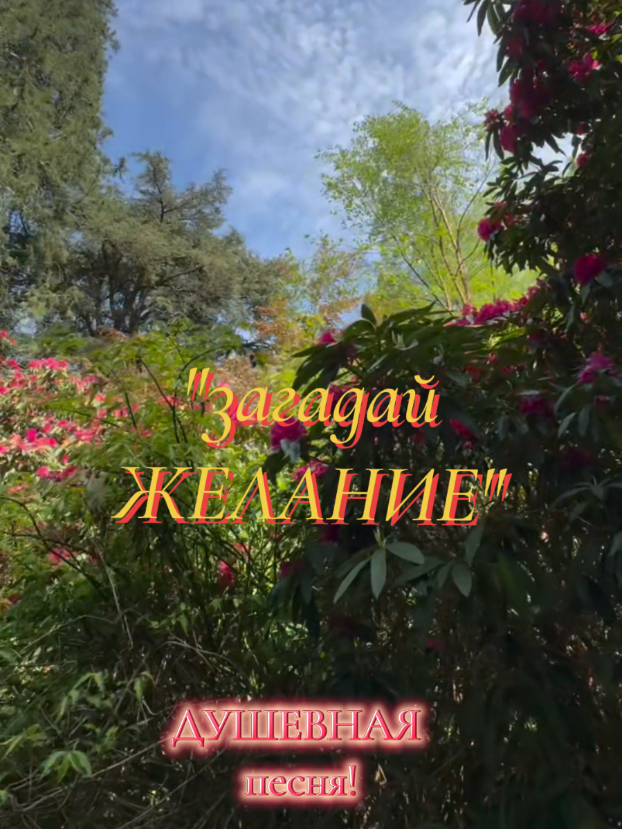 @✨Елена✨