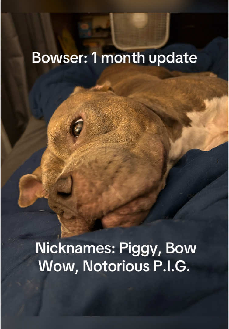 @craigloudermilk