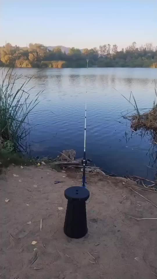 @RingDoorBellVideos