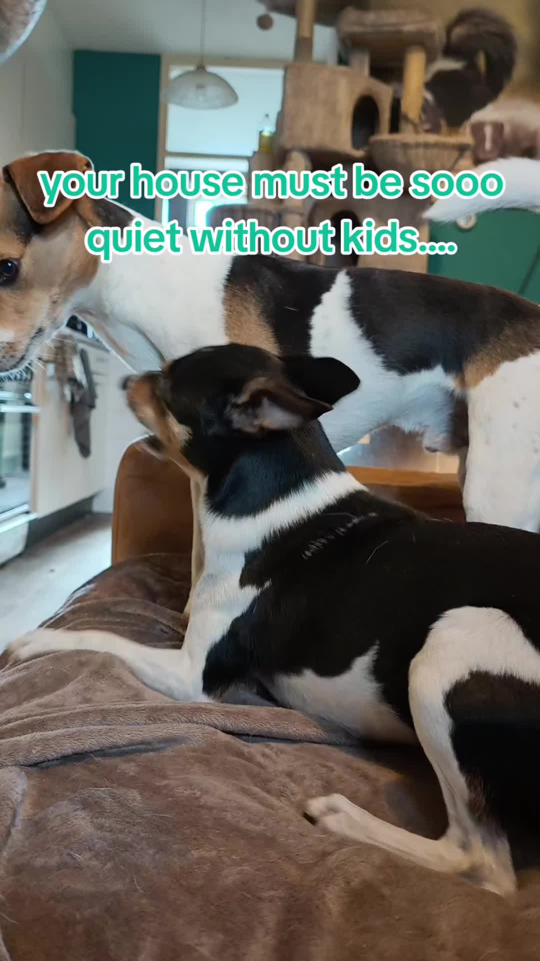@Bestiesbeasties