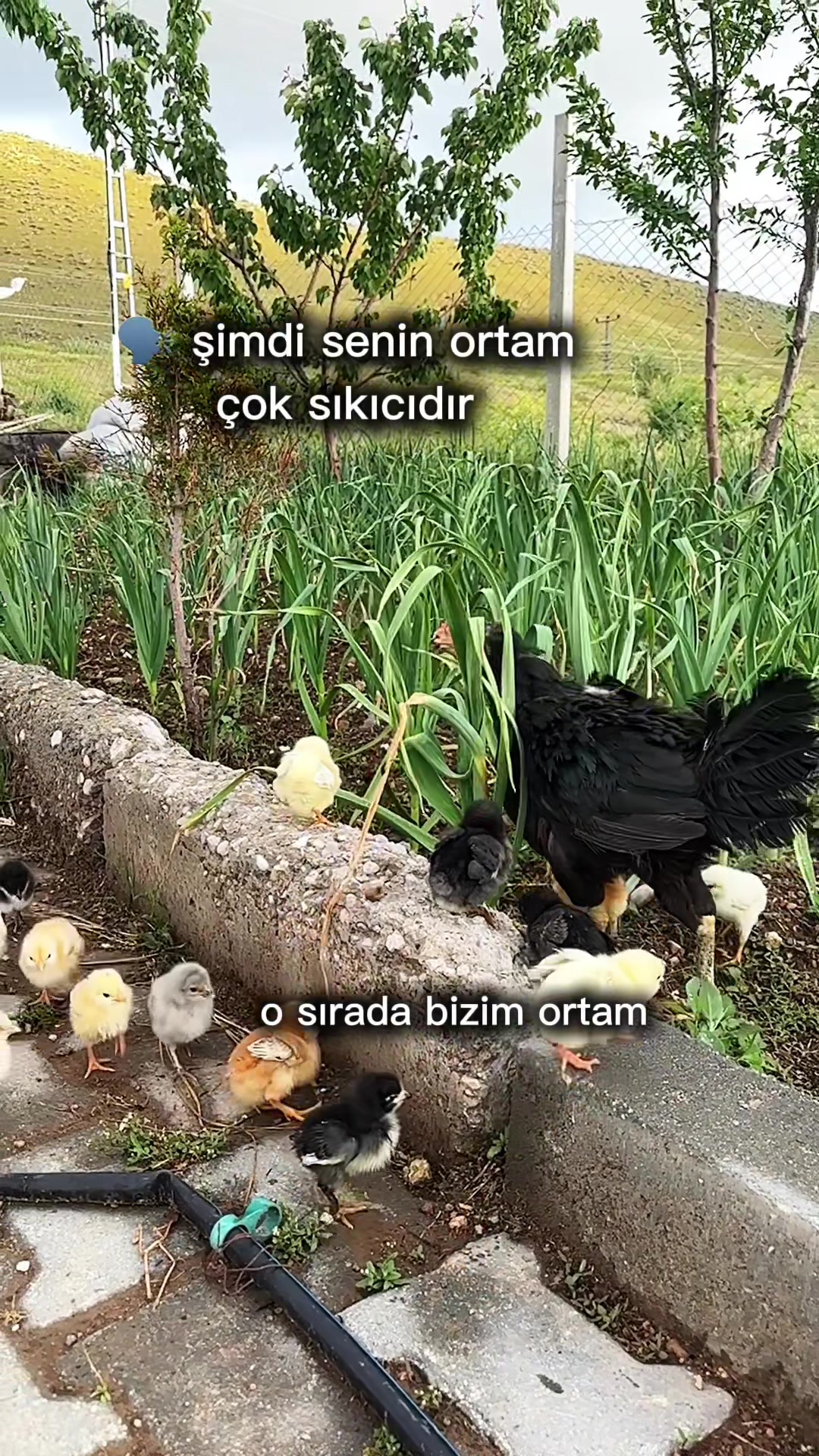 @Sunumcukendiçekimlerim