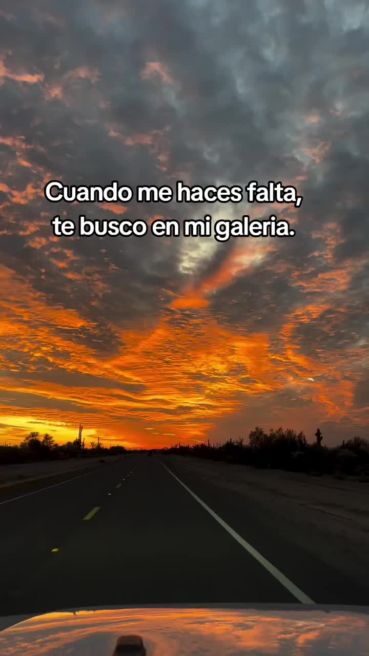 @🌸 𝐾aLixTaa🌻