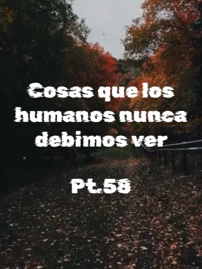 @Categorías Máster