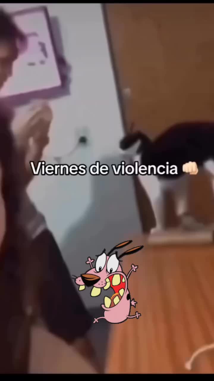 @el panda solitario