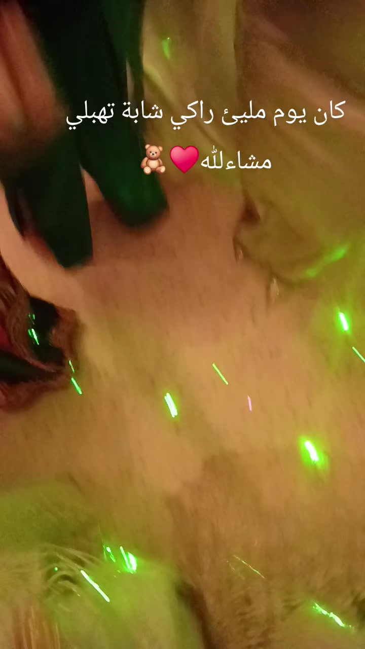 @🐍VelvetStorm🧸